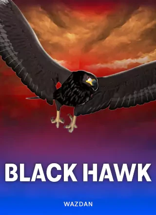 รูปปกเกม WZD Black Hawk